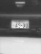 4900.JPG