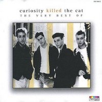 curiosity killed the cat/ordinary day .jpg