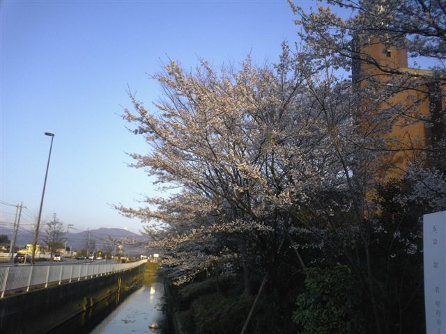 P1000794.JPG