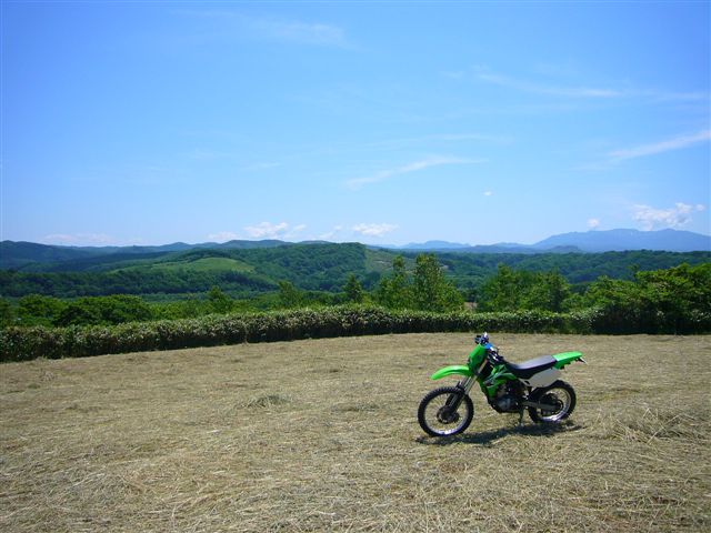P1020002.JPG