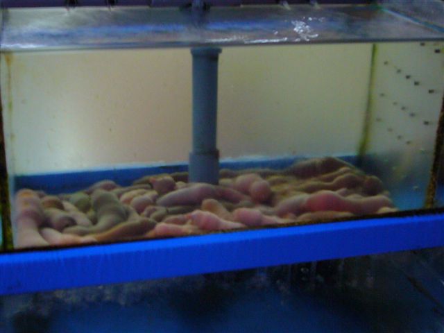 P1020027.JPG