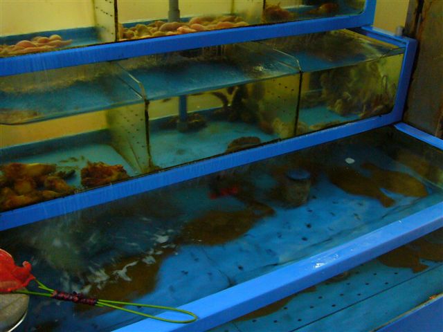 P1020030.JPG