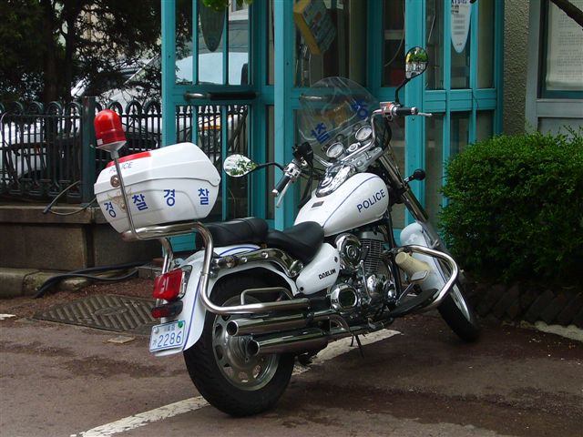 P1020035.JPG