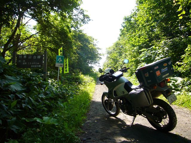 P1020220.JPG