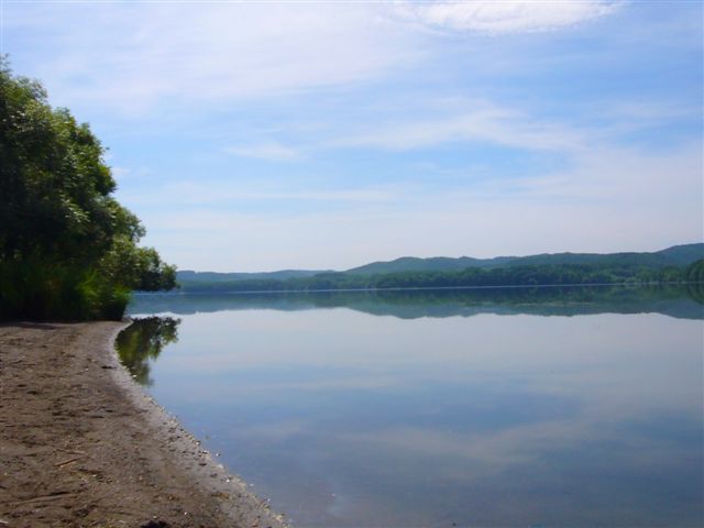 P1020229.JPG
