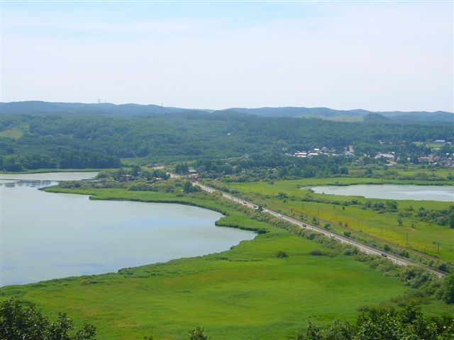 P1020234.JPG