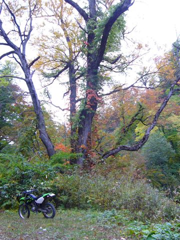 P1020417.JPG