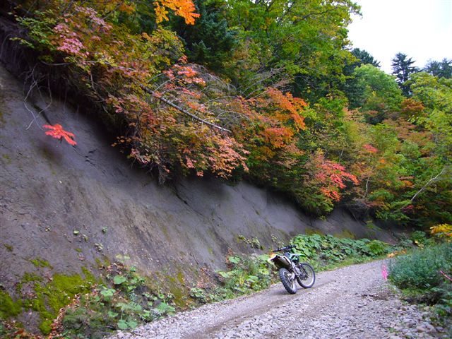P1020420.JPG