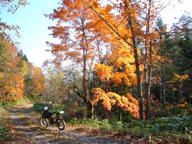 P1020484.JPG