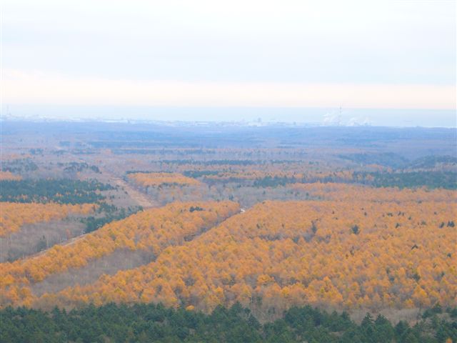 P1020588.JPG