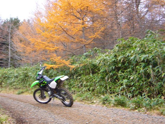 P1020596.JPG