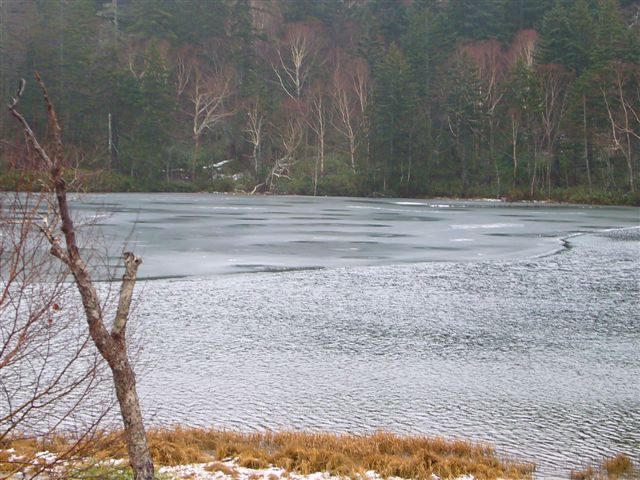 P1020611.JPG