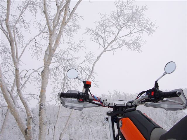 P1030068.JPG