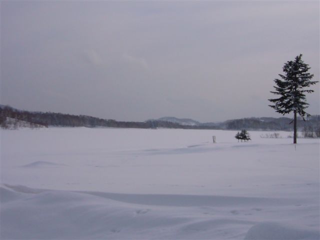 P1030078.JPG