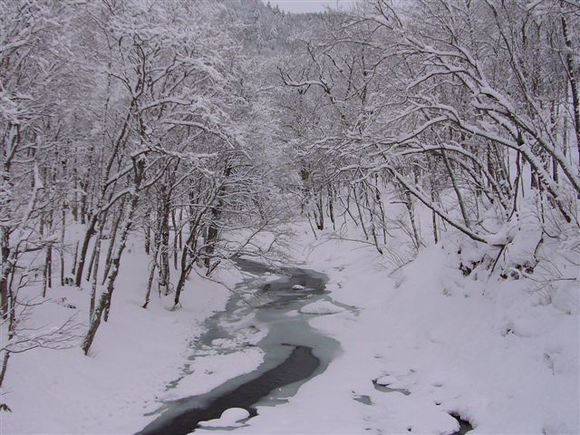 P1030085.JPG
