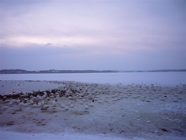 P1030086.JPG