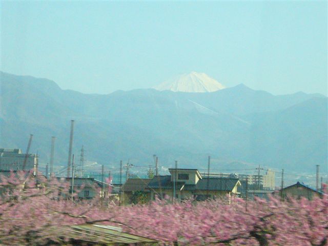 P1040837.JPG