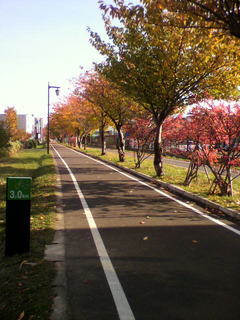 cyclingroad.jpg