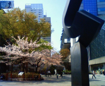 isakura.jpg