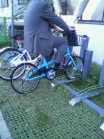 porocle2010.jpg