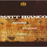 samba in your casa.jpg