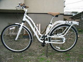 schwinn.JPG