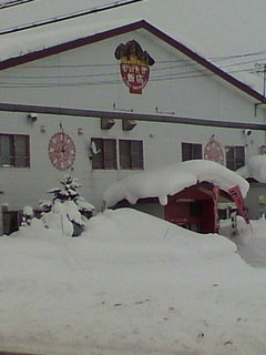 shiitakehanten.jpg